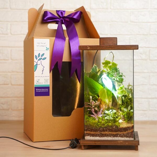 IMG 20250916 130407 851