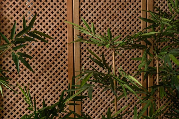 دیوار خزه ای با گل بامبو روی دیوار چوبی