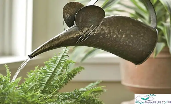 آب پاش با طرح موش برای آبیاری گیاهان