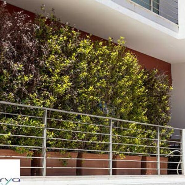 اجرای دیوار سبز بالکن و گلدان پشت نرده های یک خانه